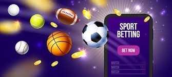 betboo